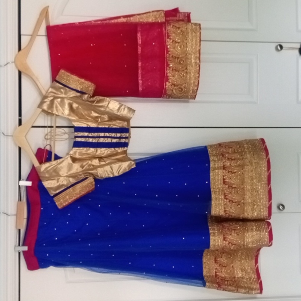 Blue and Pink Net Lehenga Choli Size 42